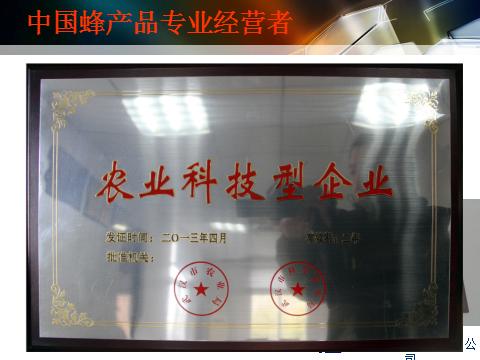 呼伦贝尔2